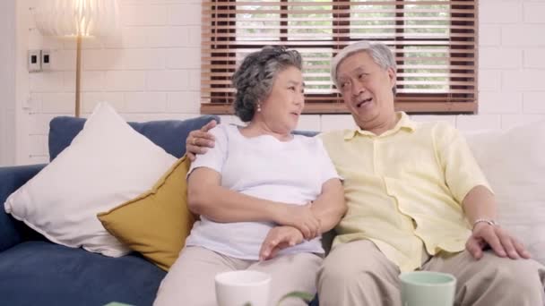 Asiática Pareja Ancianos Sentirse Feliz Sonriendo Mirando Cámara Mientras Relaja — Vídeos de Stock