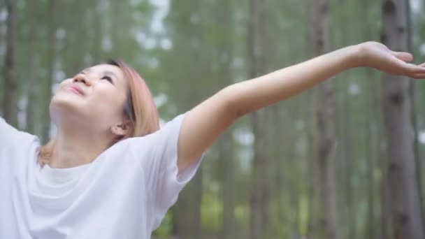 Sağlıklı Güzel Genç Asyalı Sporcu Kadını Isınma Germe Kollarını Orman — Stok video