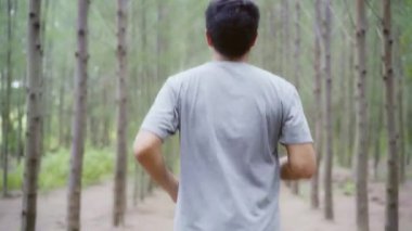 Sağlıklı yakışıklı genç atletik sportif Asya atlet adam çalıştıran ve orman iz koşu giyim spor. Yaşam tarzı uygun ve etkin kadınlar orman kavramında egzersiz.