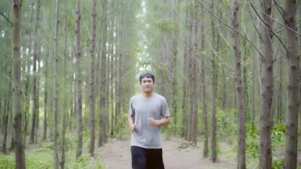 健康英俊的年轻运动运动运动亚洲跑步男子在运动服上跑步和慢跑在森林小道上 生活方式适合和积极的妇女运动在森林概念 — 图库视频影像