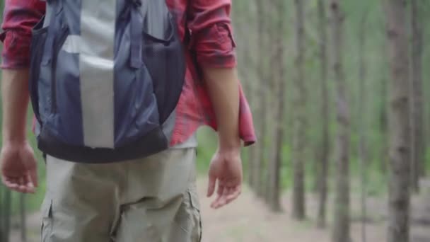 Hiker Asian Backpacker Man Hiking Adventure Feeling Freedom Walking Forest — Stock Video