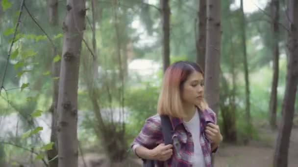 ハイキング冒険感自由の森を歩くハイカー アジアのバックパッカー女性 女性は 彼女の多くの木の近くの休暇をお楽しみください ライフ スタイルの女性旅行 フリータイム概念でリラックス — ストック動画