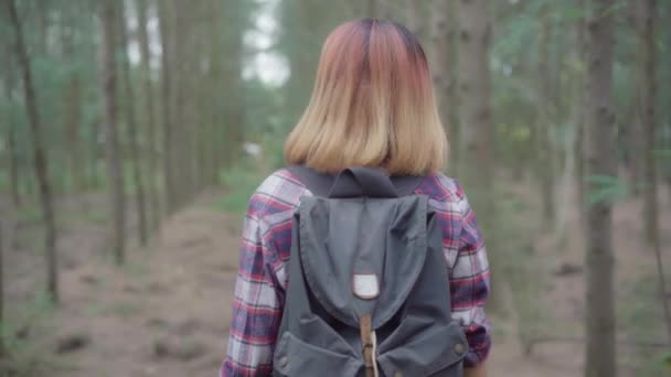 Hiker Asian Backpacker Woman Hiking Adventure Feeling Freedom Walking Forest — Stock Video