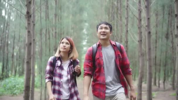 Caminhante Ásia Mochileiro Casal Caminhadas Aventura Sentindo Liberdade Andando Floresta — Vídeo de Stock