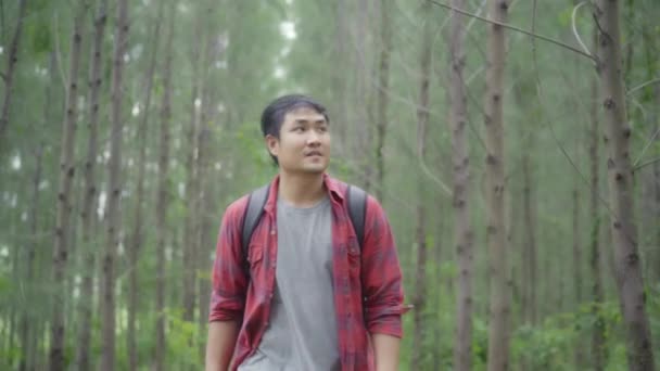ハイキング冒険感自由の森を歩くハイカー アジア バックパッカー男 男性はたくさんの木の近くの彼の休日をお楽しみください ライフ スタイル男性旅行し フリータイム概念でリラックス — ストック動画