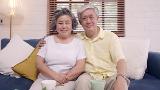 Casal Idosos Asiáticos Sentindo Feliz Sorrindo Olhando Para Câmera Enquanto — Vídeo de Stock