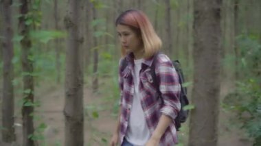 Macera hissi özgürlük ormanda yürüyüş hiking üzerinde uzun yürüyüşe çıkan kimse Asya backpacker kadın erkek yakınındaki çok sayıda ağaç onun tatil keyfini çıkarın. Yaşam tarzı kadın seyahat ve boş zaman kavramı içinde dinlenmek.