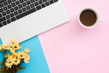 Yaratıcı düz Fotoğraf çalışma masası yatıyordu. Üstten görünüm ofis masası mavi pembe renkli arka plan üzerinde laptop, bitki ve kahve Kupası ile. Kopya alanı, düz yatıyordu fotoğraf ile üstten görünüm.