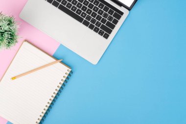 Yaratıcı düz Fotoğraf çalışma masası yatıyordu. Üstten görünüm ofis büro dizüstü bilgisayar, kalem, defter ve bitki mavi pembe renkli arka plan üzerinde. Kopya alanı, düz yatıyordu fotoğraf ile üstten görünüm.
