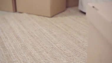 Yeni eve taşınan genç Asyalı kadın, tablet ilerletmeye devam eden güzel kadın sosyal medyayı kullanarak evde oturma odasında eve taşındıktan sonra rahatlarken kanepeye yatmış. Evde zaman yaşam tarzı kadın zevk kavramı.