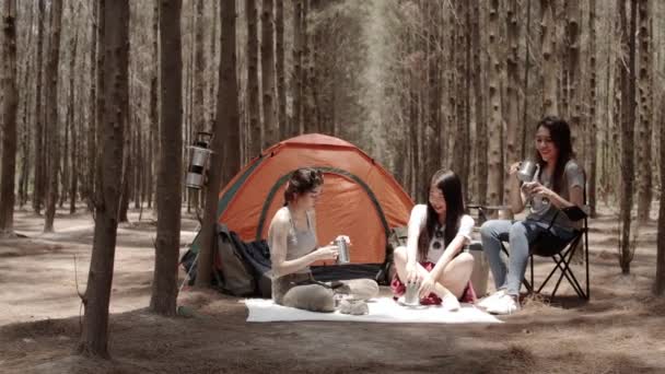 Gruppe Junger Asiatischer Freunde Campieren Oder Picknicken Gemeinsam Wald Teenagerinnen — Stockvideo