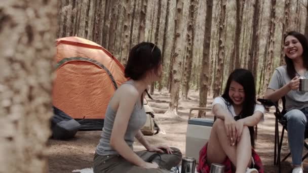 Gruppe Junger Asiatischer Freunde Campieren Oder Picknicken Gemeinsam Wald Teenagerinnen — Stockvideo