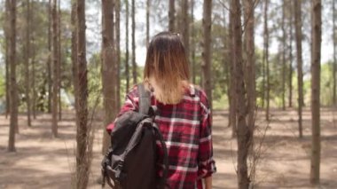 Asyalı yürüyüşçü kadın ormanda trekking. Genç mutlu sırt çantası kız yürüyüş onu yolculuk, seyahat doğa ve macera gezisi zevk, sonbahar tatil tatil kavramı ağacın dağ çok tırmanmaya. Yavaş çekim.