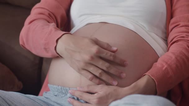 Genç Asyalı Hamile Kadın Karnını Tutuyor Çocuğuyla Konuşuyor Annem Mutlu — Stok video