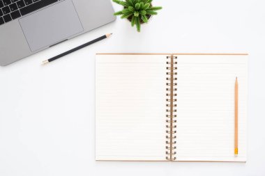 Yaratıcı düz Fotoğraf çalışma masası yatıyordu. Üstten görünüm ofis büro dizüstü bilgisayar, kalem, defter ve beyaz renk arka plan üzerinde bitki. Kopya alanı, düz yatıyordu fotoğraf ile üstten görünüm.