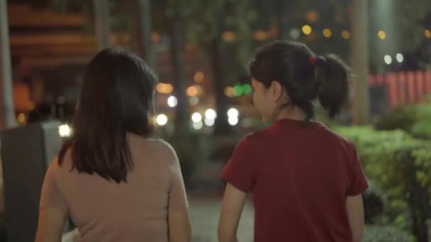 Touristique Asiatique Soeur Hipster Filles Voyageant Marchant Dans Rue Nuit — Video