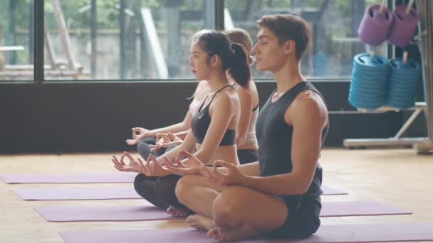年轻多姿多彩的人和教练一起练习瑜伽 在健身室锻炼健康生活方式的多种族妇女和男子群体 体育活动 体操或舞蹈课 — 图库视频影像