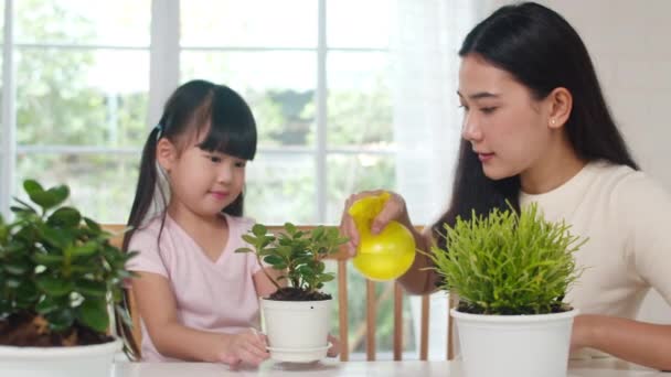 Feliz Familia Asiática Alegre Mamá Hija Regando Planta Jardinería Cerca — Vídeos de Stock