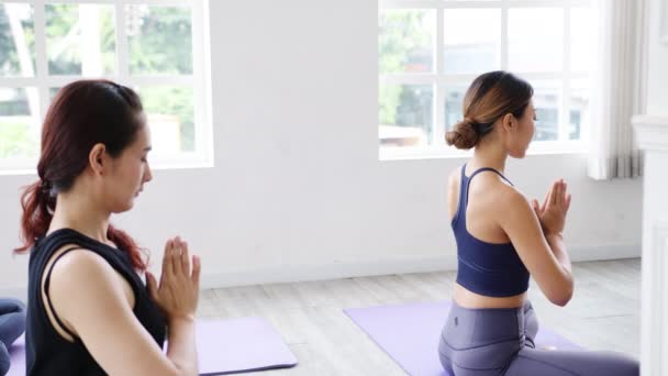 Junge Sportliche Attraktive Menschen Aus Asien Die Yoga Mit Einem — Stockvideo