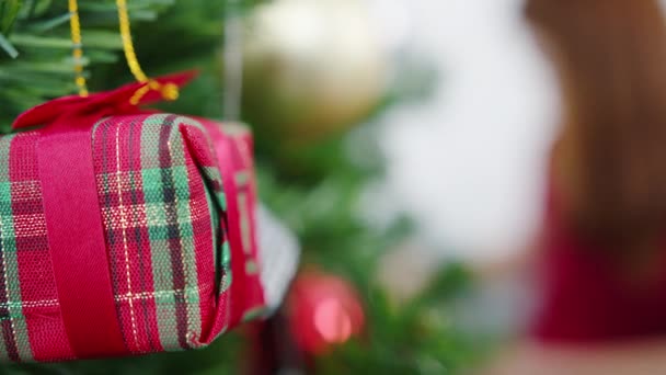 Asiatische Weibchen Geschmückt Mit Schmuck Weihnachtsbaum Weihnachten Und Neujahr Hause — Stockvideo