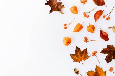 sonbahar yaprakları ve dalları üzerinde beyaz izole yukarıdan Sonbahar arka plan, düz yatırın