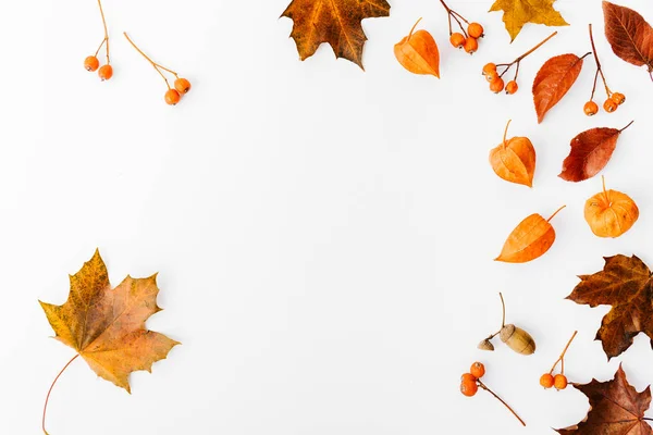秋の背景 フラットの平面図を置く秋葉と枝の白で隔離 — ストック写真