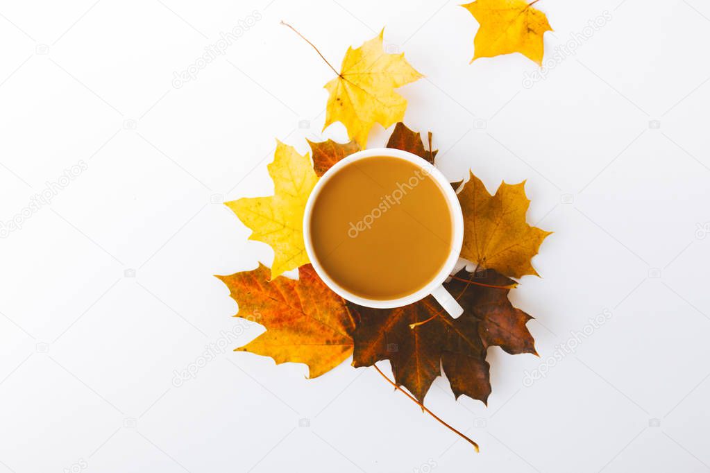 top view of autumn leaves and cup of coffee isolated on white