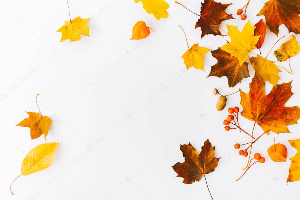top view of autumn background, flat lay with autumn leaves and branches isolated on white