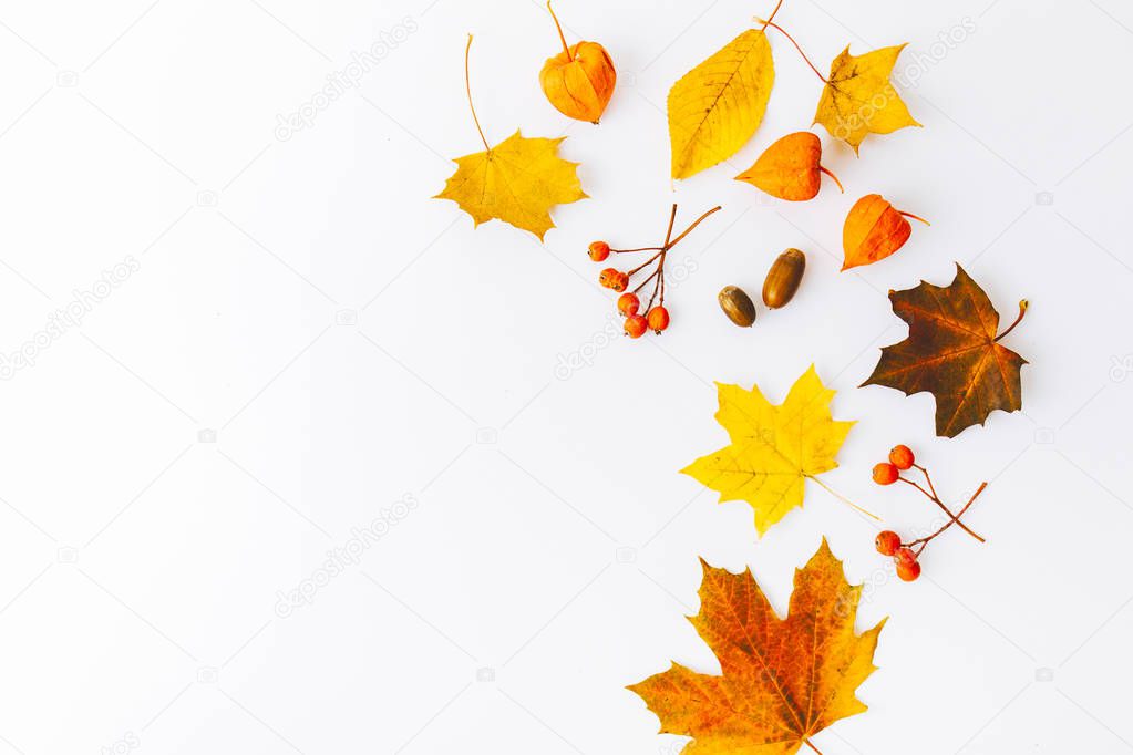 top view of autumn background, flat lay with autumn leaves and branches isolated on white