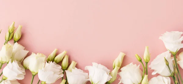Pastel Pembe Bir Arka Plan Üzerinde Beyaz Çiçek Açan Güller — Stok fotoğraf