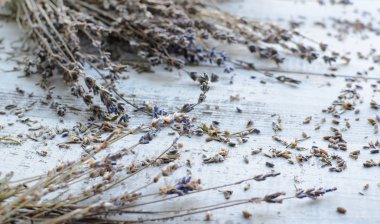 gri ahşap arka plan üzerinde kuru doğal lavanta şube
