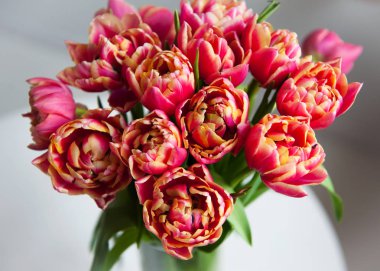 Cam vazo içinde pembe bahar Lale çiçek buketi. Üstten Görünüm.