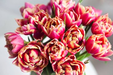 Cam vazo içinde pembe bahar Lale çiçek buketi. Üstten Görünüm.