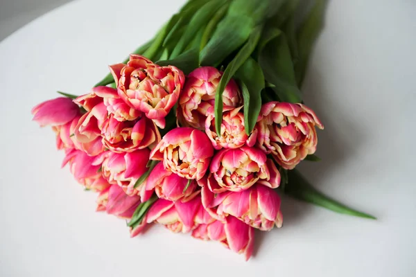 Flores de primavera. Tulipanes rosados sobre fondo blanco — Foto de Stock