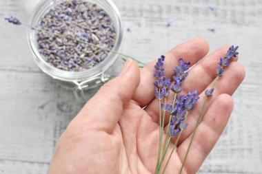 taze lavanta çiçekler demet ile kadın el