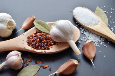 tahta kaşık içinde baharatlar tuz biber, sarımsak, defne yaprağı ve deniz