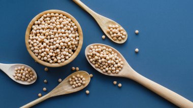 ahşap kase ve kaşık kuru çiğ nohut