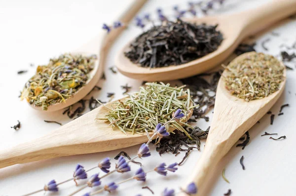 Fekete és növényi száraz tea — Stock Fotó