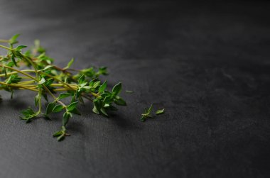 Koyu gri arka planda taze kekik otu. Aromaterapi konsepti. Seçici odaklanma. Boşluğu kopyala.