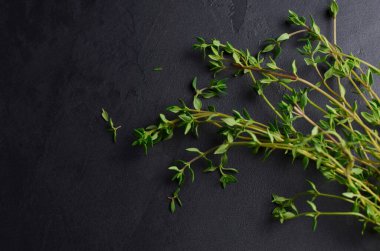 Koyu gri arka planda bir sürü taze kekik. Aromaterapi konsepti. Üst görünüm.