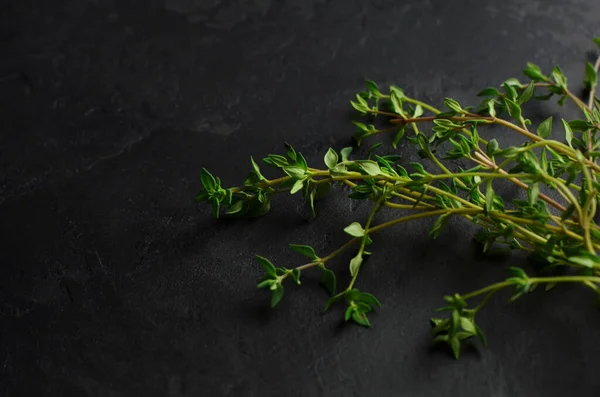 Świeże Zioło Tymianku Ciemnoszarym Tle Koncepcja Aromaterapii Wybiórcze Skupienie Przestrzeń — Zdjęcie stockowe