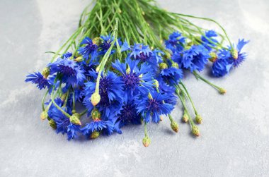 Çiçek buketi, açık gri arka planda güzel yaz çiçekleri.