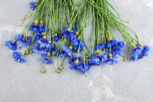 Çiçek buketi, açık gri arka planda güzel yaz çiçekleri. Üst görünüm, alanı kopyala