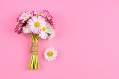 Papatya çiçekleri pembe arka planda bahar buketi.