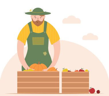 Gülümseyen adam çiftlikte hasat topluyor. Bahçıvan, balkabağı ve elmaları tahta bir kutuya koyar. Mevsimlik tarım işleri. Beyaz arkaplanda izole vektör illüstrasyonu