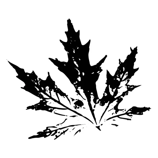 Autumn leaf on a white background vector illustration