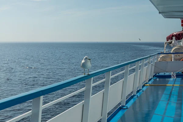 Seagull Railing Ship Background Lake Ladoga — Stock Photo, Image