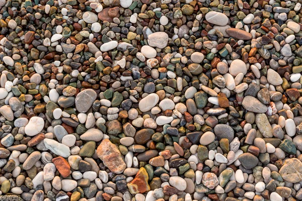 Rocas Orilla Playa Guijarros — Foto de Stock