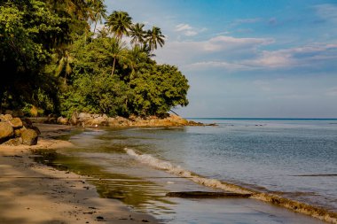 Güzel deniz manzarası. Deniz, dağlar, gökyüzü, gün batımı ve palmiye ağaçları. Phuket, Tayland adanın güzel yerleri.