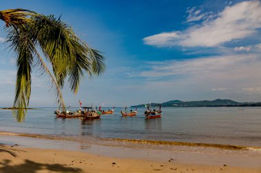 Güzel deniz manzarası. Deniz, dağlar, gökyüzü, gün batımı ve palmiye ağaçları. Phuket, Tayland adanın güzel yerleri.